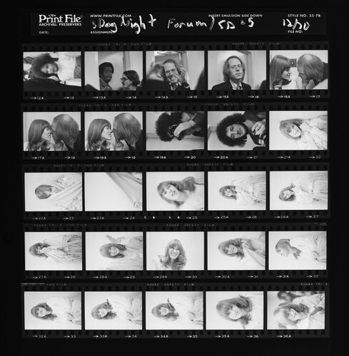 EC_3DogNight_1033: Three Dog Night