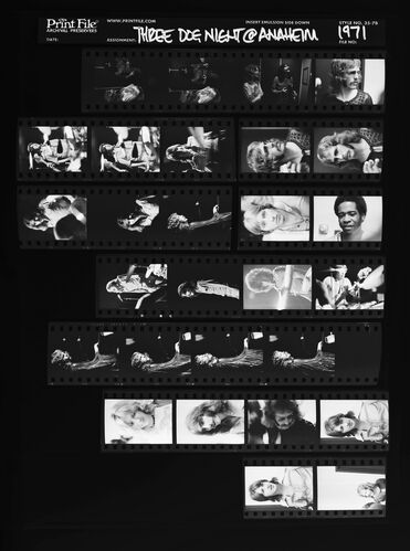 EC_3DogNight_1038: Three Dog Night