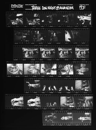 EC_3DogNight_1039: Three Dog Night