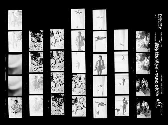 EC_3DogNight_1190: Three Dog Night