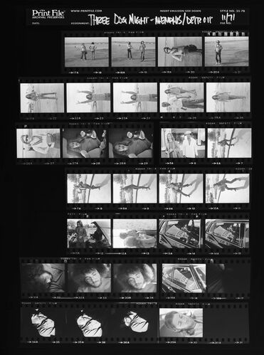 EC_3DogNight_1208: Three Dog Night