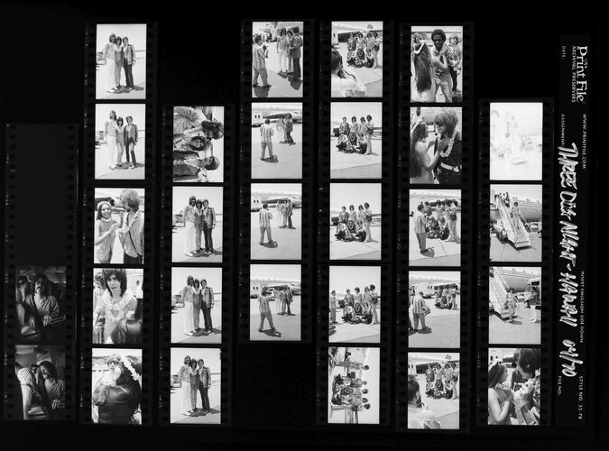 EC_3DogNight_250: Three Dog Night