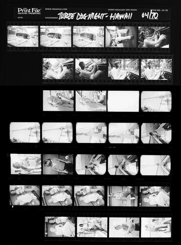 EC_3DogNight_263: Three Dog Night