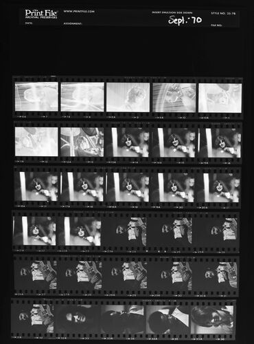 EC_3DogNight_268: Three Dog Night