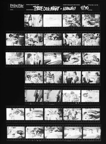 EC_3DogNight_306: Three Dog Night