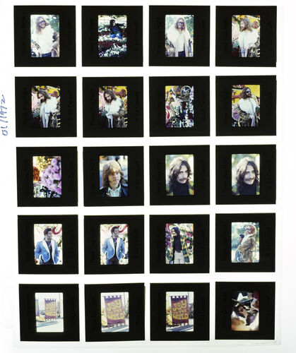 EC_3DogNight_310: Three Dog Night