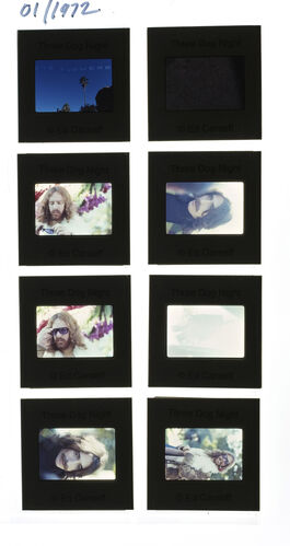 EC_3DogNight_311: Three Dog Night