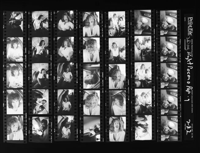 EC_3DogNight_440: Three Dog Night