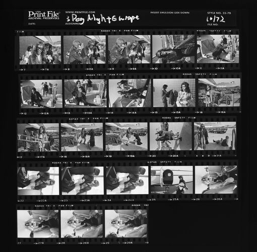 EC_3DogNight_478: Three Dog Night