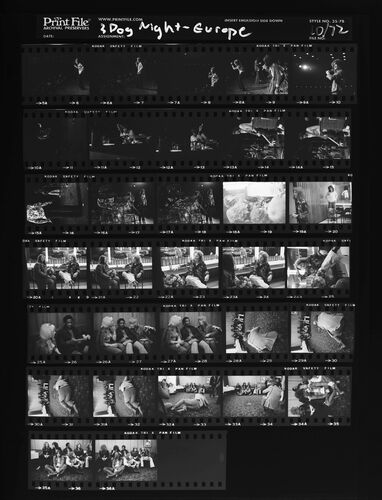EC_3DogNight_487: Three Dog Night