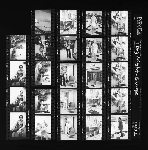EC_3DogNight_504: Three Dog Night