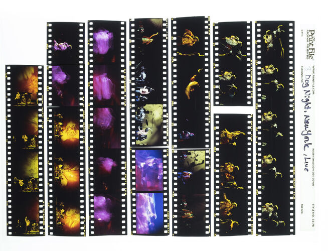 EC_3DogNight_599: Three Dog Night