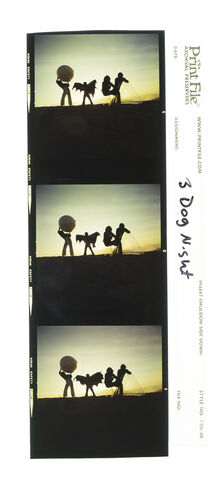 EC_3DogNight_707: Three Dog Night