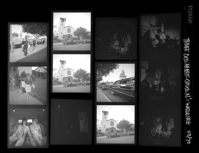 EC_3DogNight_768: Three Dog Night