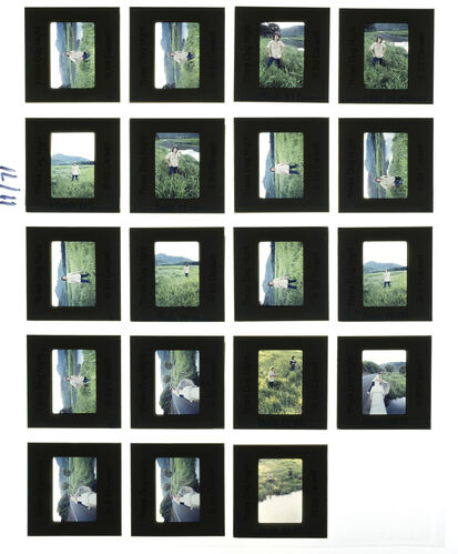 EC_3DogNight_865: Three Dog Night