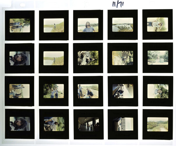 EC_3DogNight_869: Three Dog Night