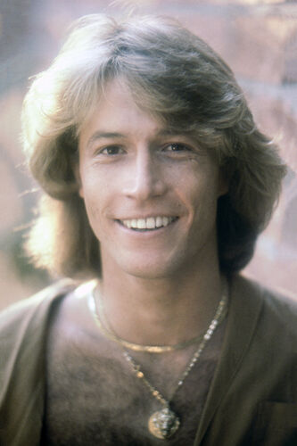 EC_AG005: Andy Gibb
