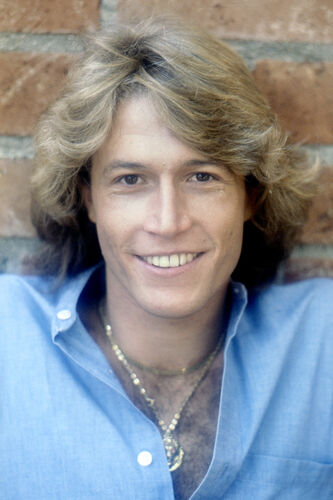 EC_AG006: Andy Gibb