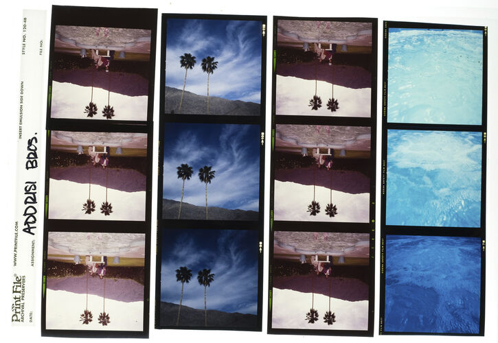 EC_AddrisiBrothers_002: Addrisi Brothers