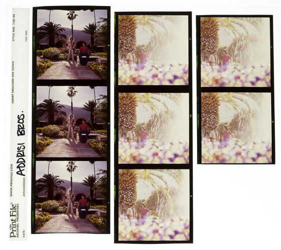 EC_AddrisiBrothers_003: Addrisi Brothers