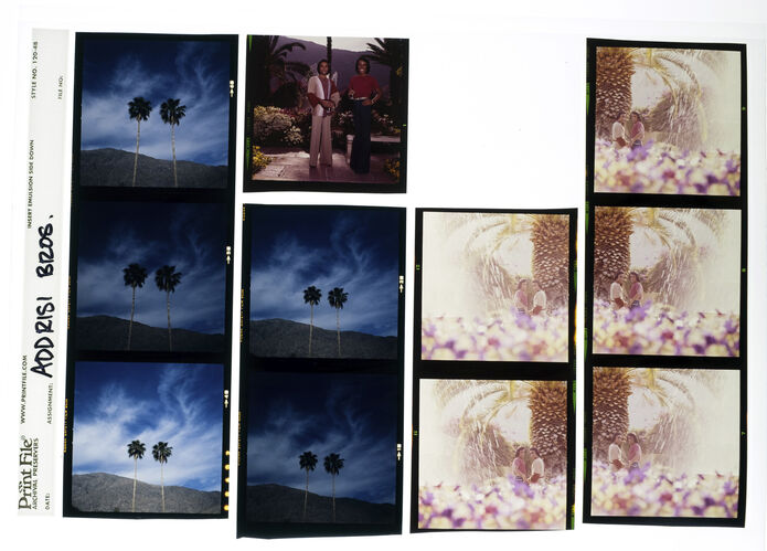 EC_AddrisiBrothers_005: Addrisi Brothers