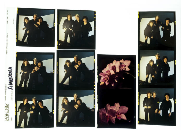 EC_Ambrosia_002: Ambrosia