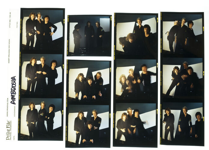 EC_Ambrosia_003: Ambrosia