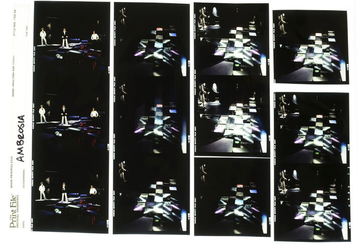 EC_Ambrosia_013: Ambrosia