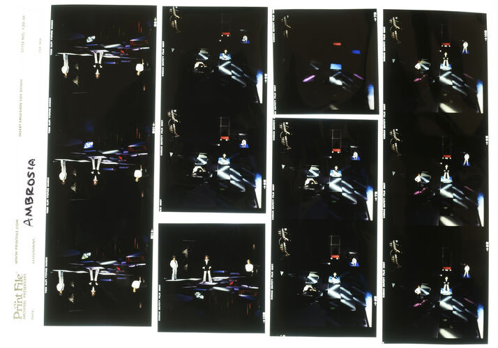 EC_Ambrosia_016: Ambrosia