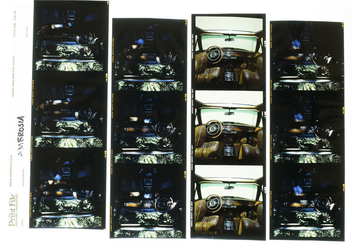 EC_Ambrosia_021: Ambrosia