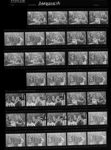 EC_Ambrosia_024: Ambrosia