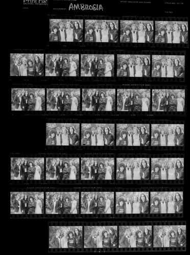 EC_Ambrosia_027: Ambrosia