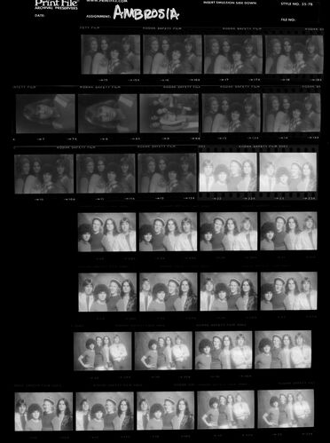 EC_Ambrosia_032: Ambrosia