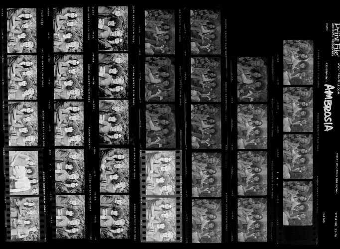 EC_Ambrosia_035: Ambrosia