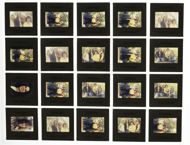 EC_Ambrosia_036: Ambrosia