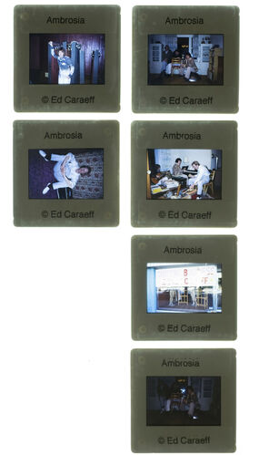 EC_Ambrosia_037: Ambrosia