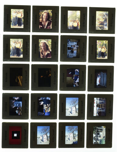 EC_Ambrosia_038: Ambrosia