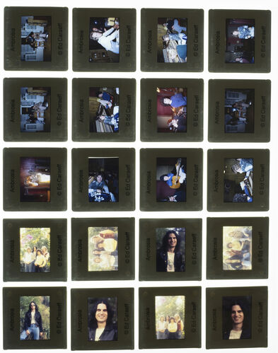 EC_Ambrosia_039: Ambrosia