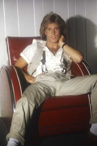EC_BG007: Andy Gibb