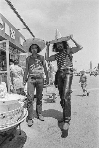 EC_CC018: Cheech & Chong