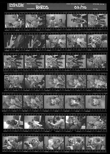 EC_CREEDENCE_072: Creedence Clearwater Revival