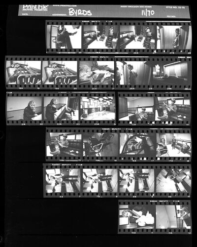 EC_CREEDENCE_074: Creedence Clearwater Revival