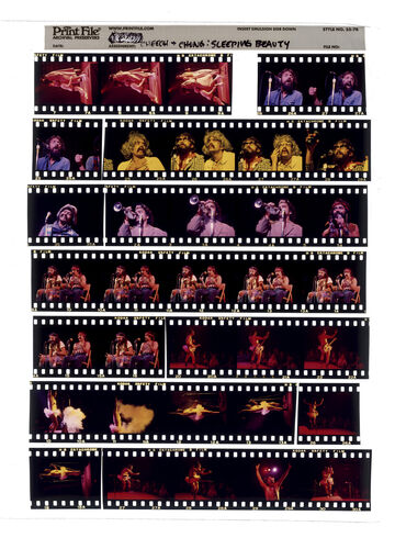 EC_Cheech&Chong_009: Cheech & Chong