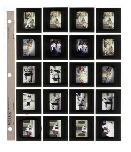 EC_Cheech&Chong_019: Cheech & Chong