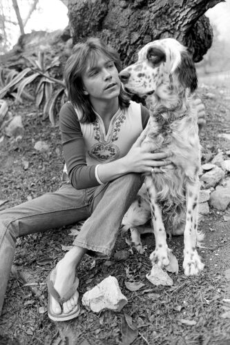 EC_DC003: David Cassidy