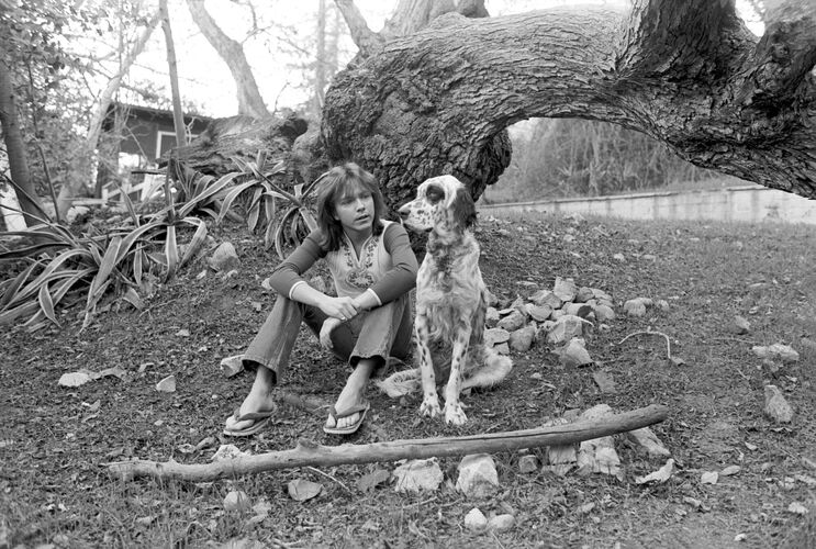 EC_DC004: David Cassidy