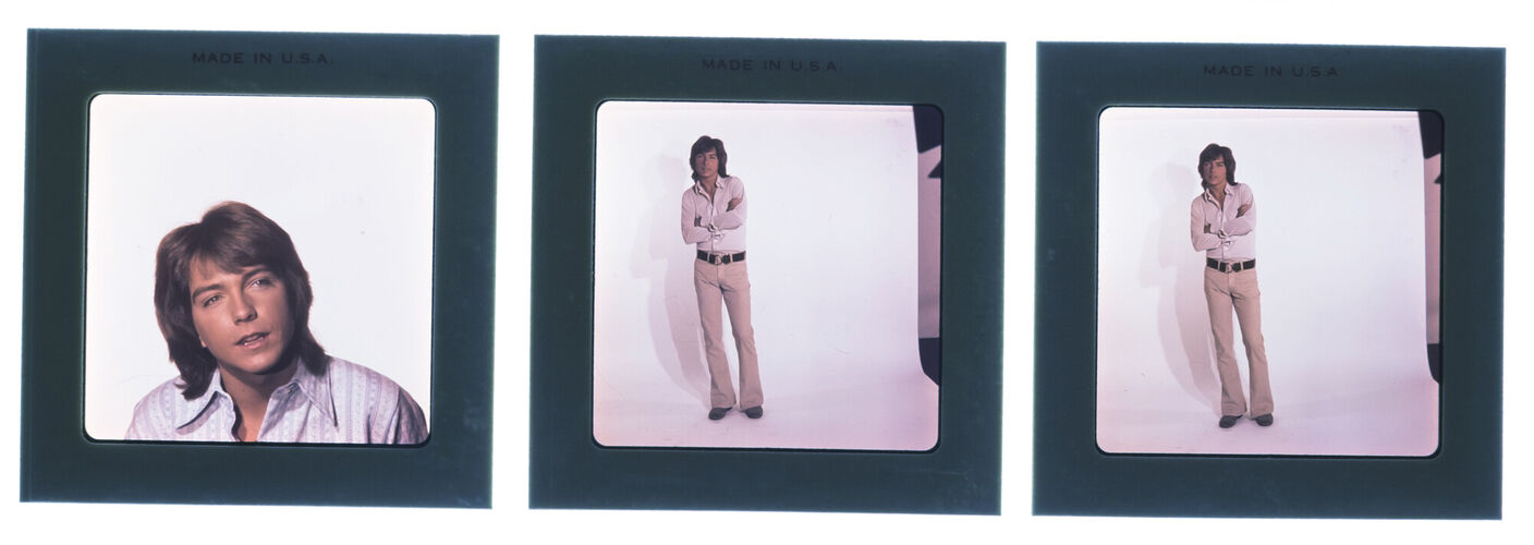 EC_DavidCassidy_003: David Cassidy