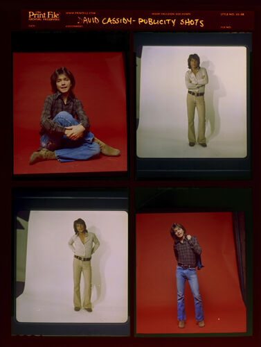EC_DavidCassidy_004: David Cassidy