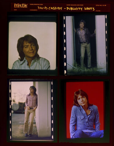 EC_DavidCassidy_005: David Cassidy