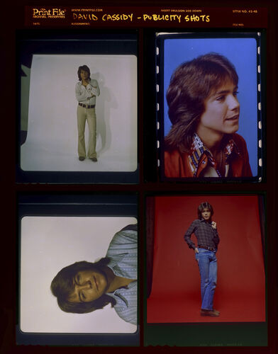 EC_DavidCassidy_006: David Cassidy